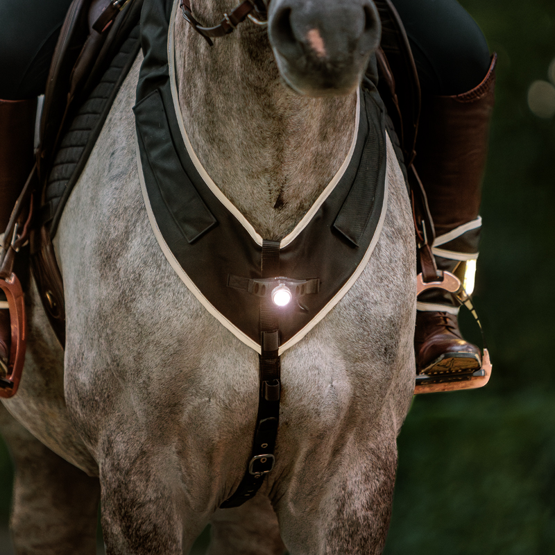 Breastplate "Horselight"-white front light