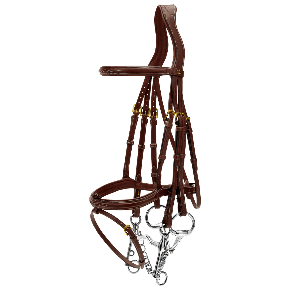 Kandare mit kombiniertem Reithalfter DY | Dy'on