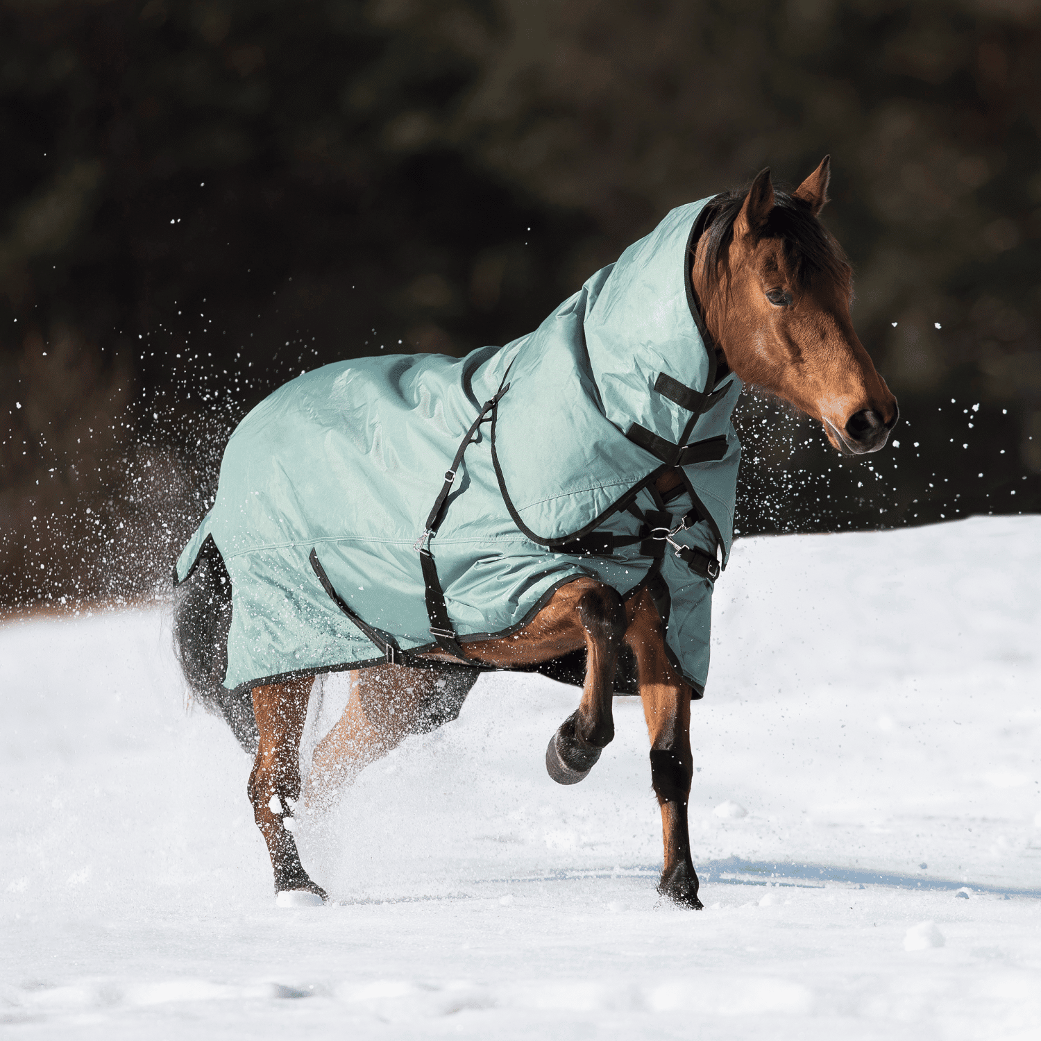 Outdoordecke Flexible Pro 250