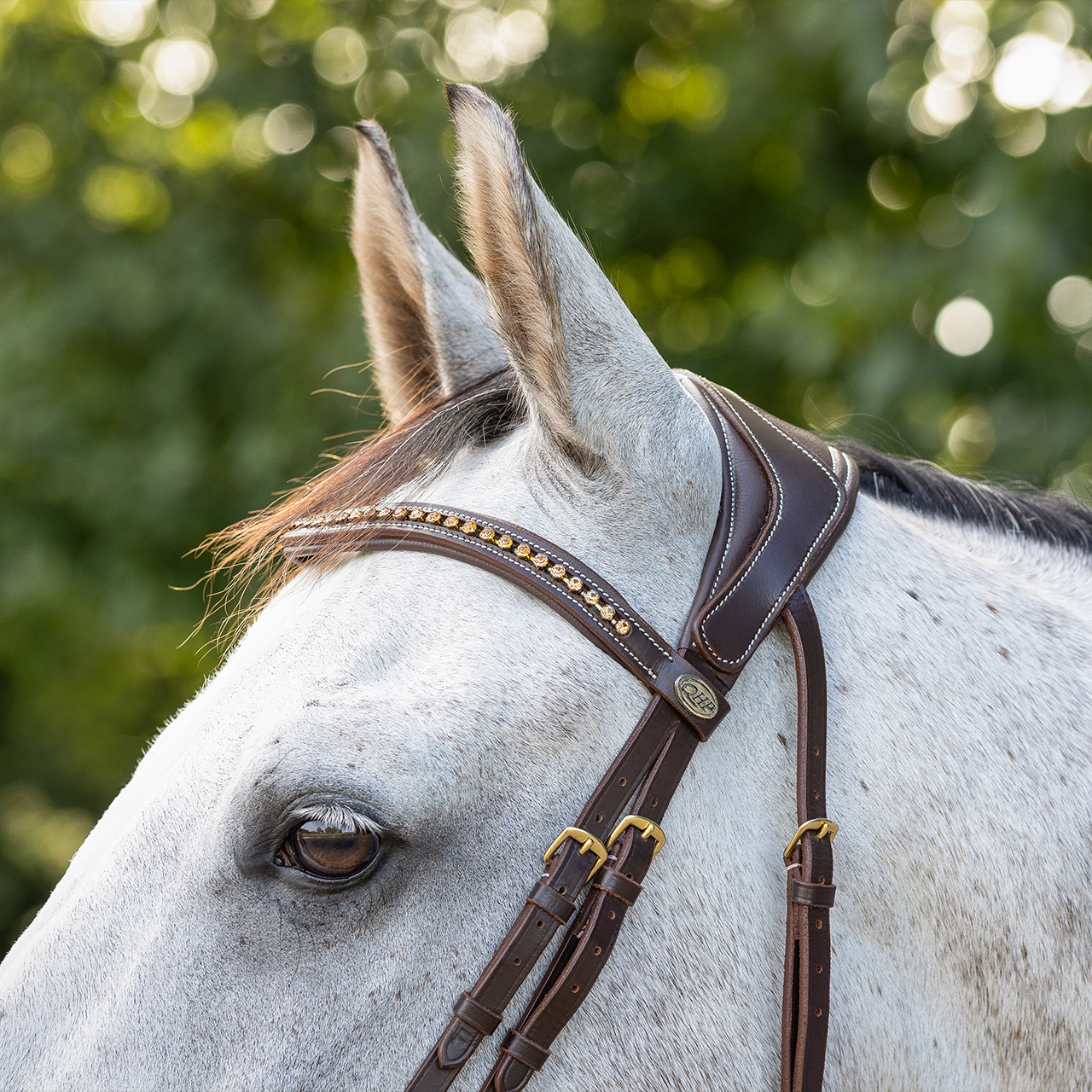 Snaffle Devi