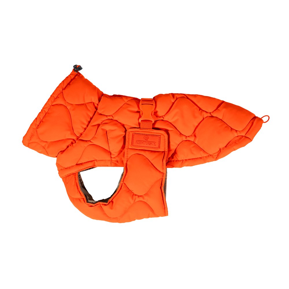 Hundemäntel Winter Pina Hundemäntel Winter Pina