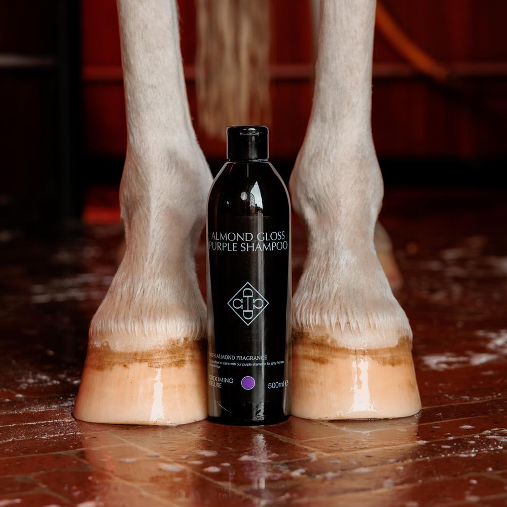 Almond Gloss Purple Shampoo