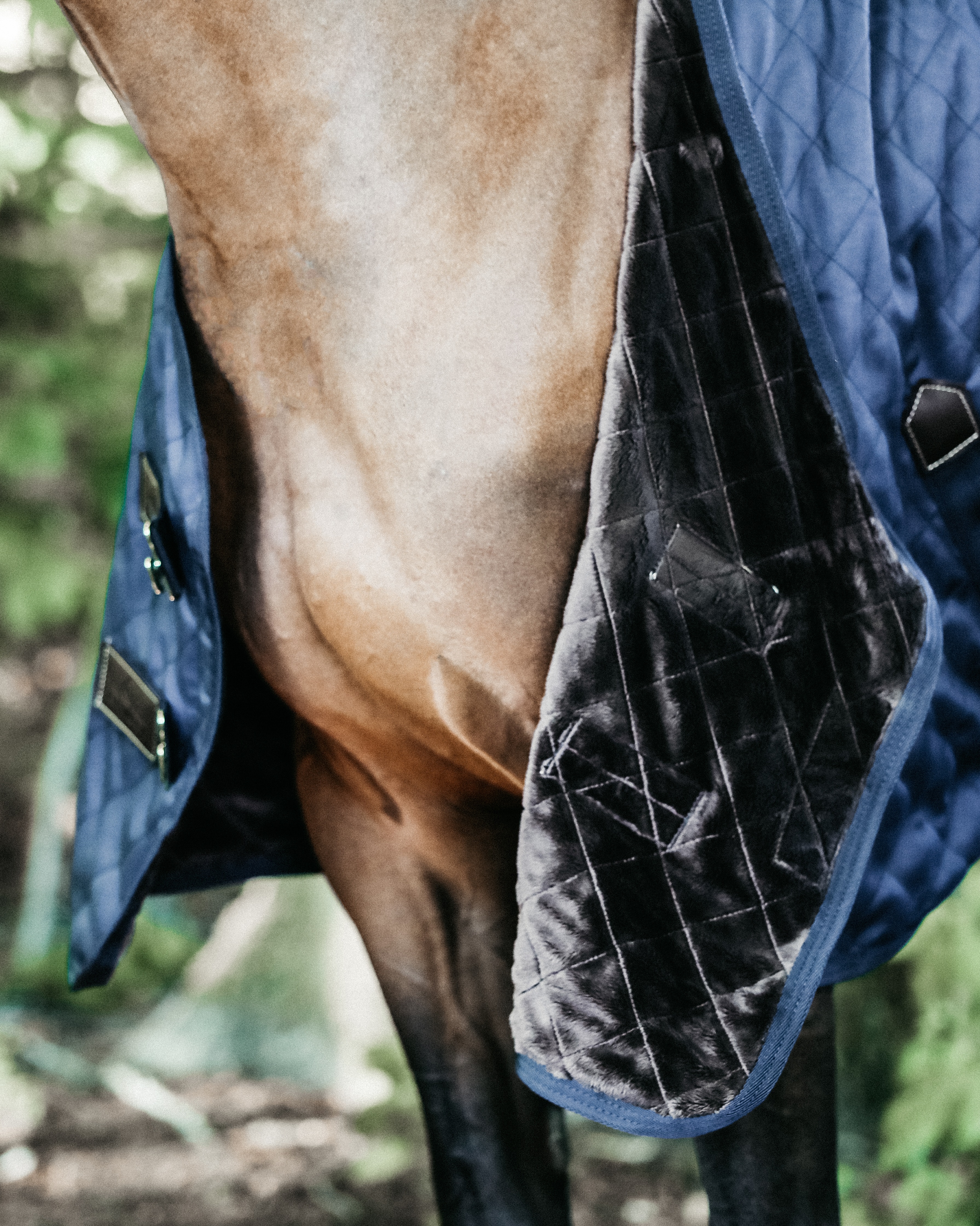 Stable blanket 0g