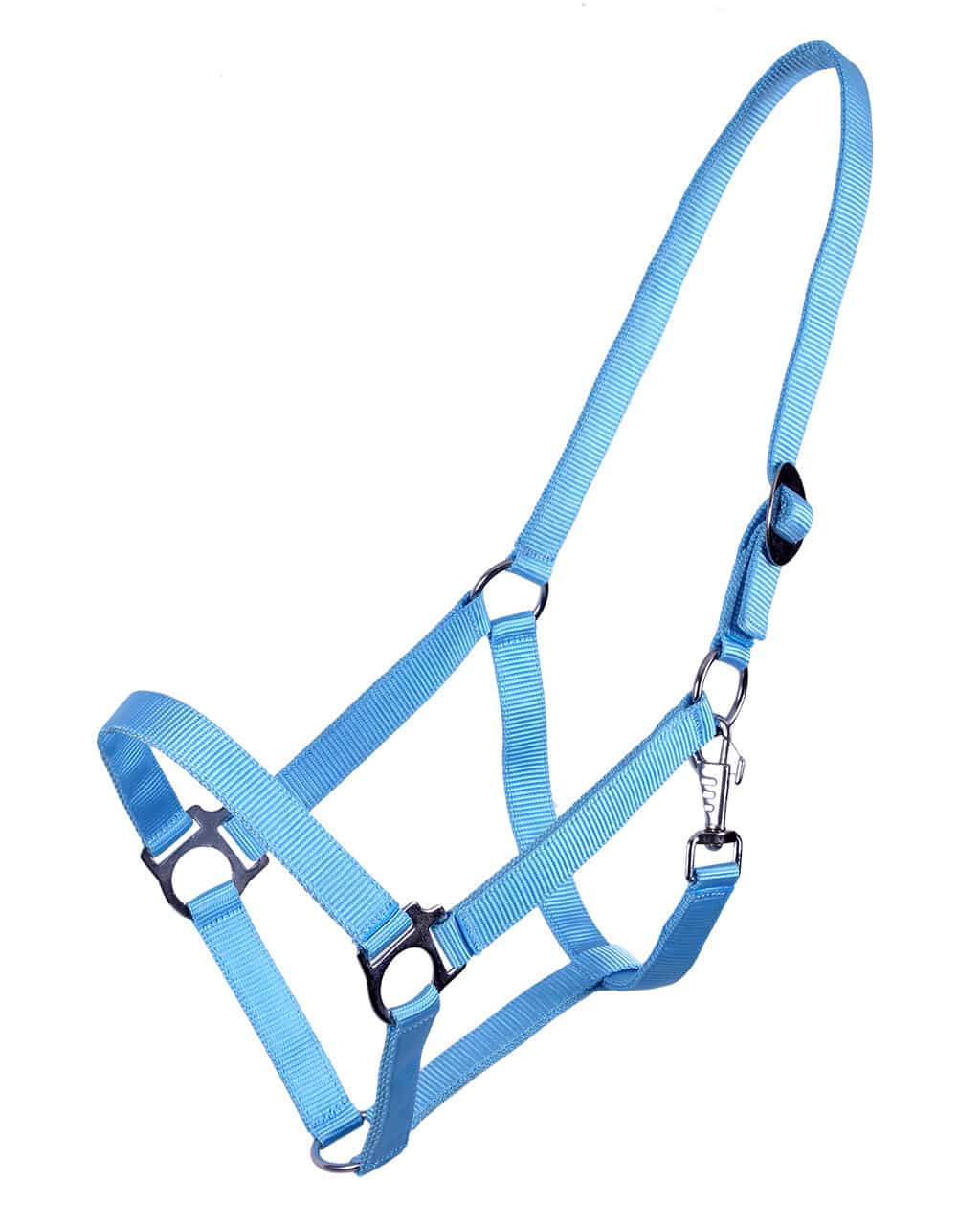 Halter with sliding buckle