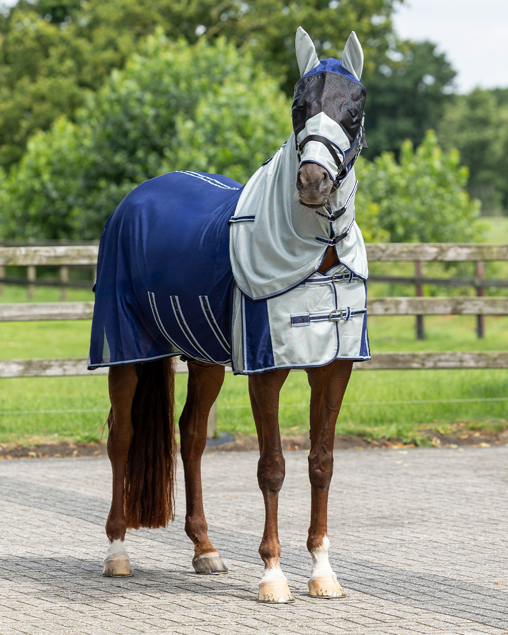 Fly rug with neck and bonnet