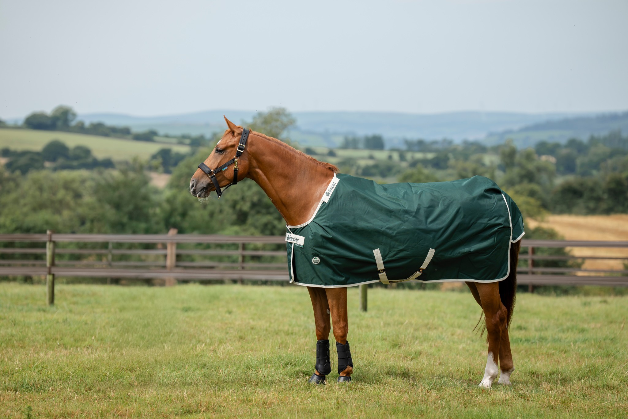 Halsteil Green-Line Combi Neck in Green/cream