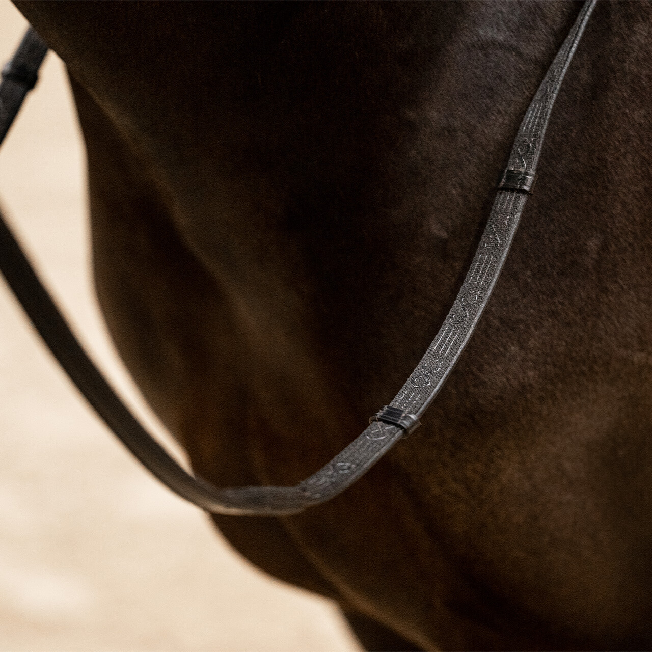Reins FayRein with stops(8cm)
