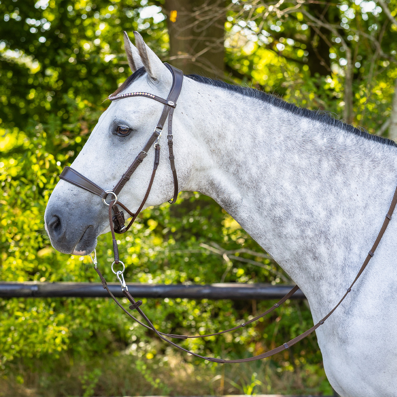 Snaffle bitless Sunna