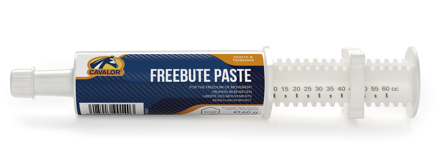FreeBute Paste 60 g (6 Spritzen)