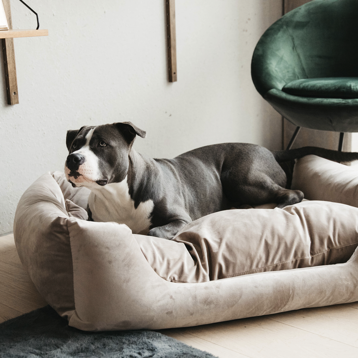 Velvet dog bed