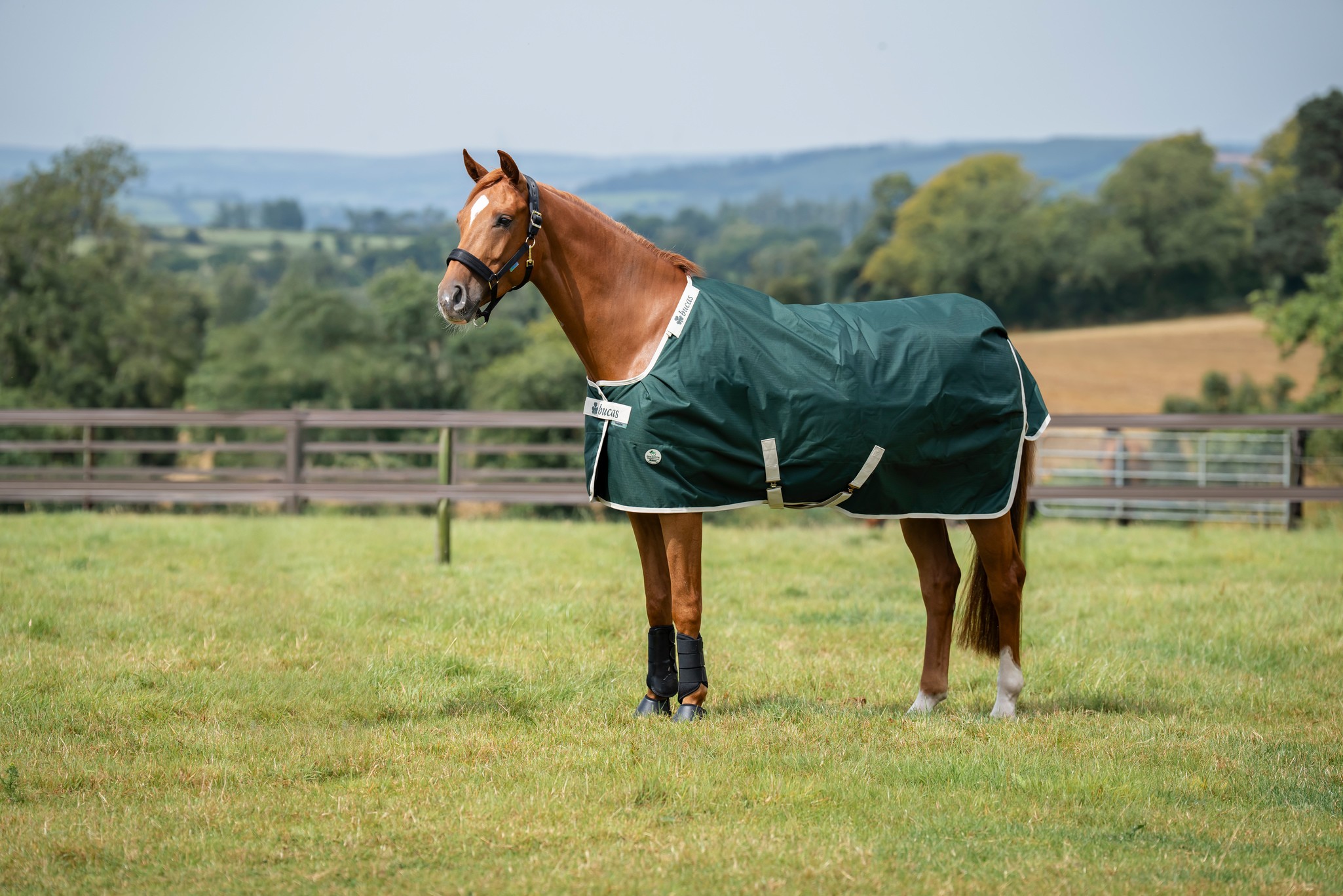 Halsteil Green-Line Combi Neck in Green/cream