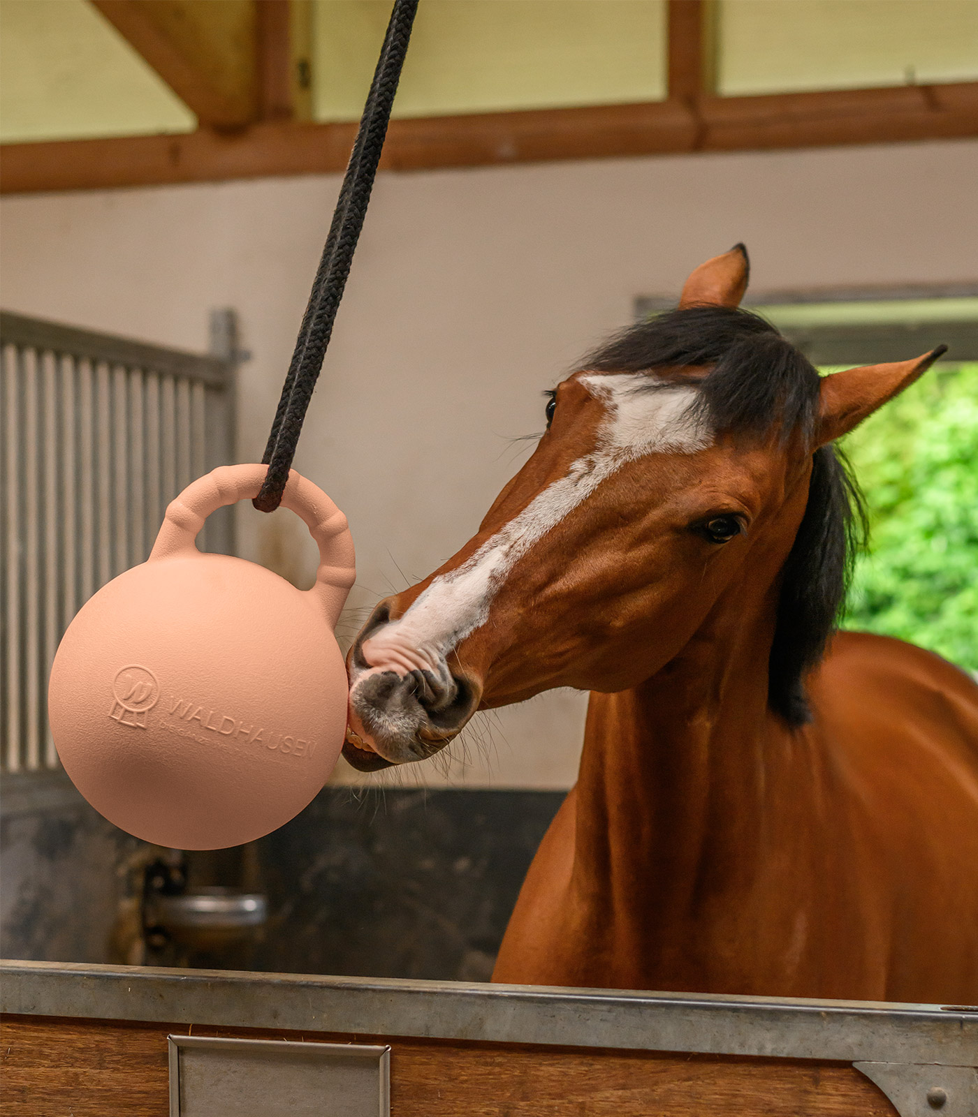 Fun Ball, linnea pink, with Strawberry Flavour, 25 cm