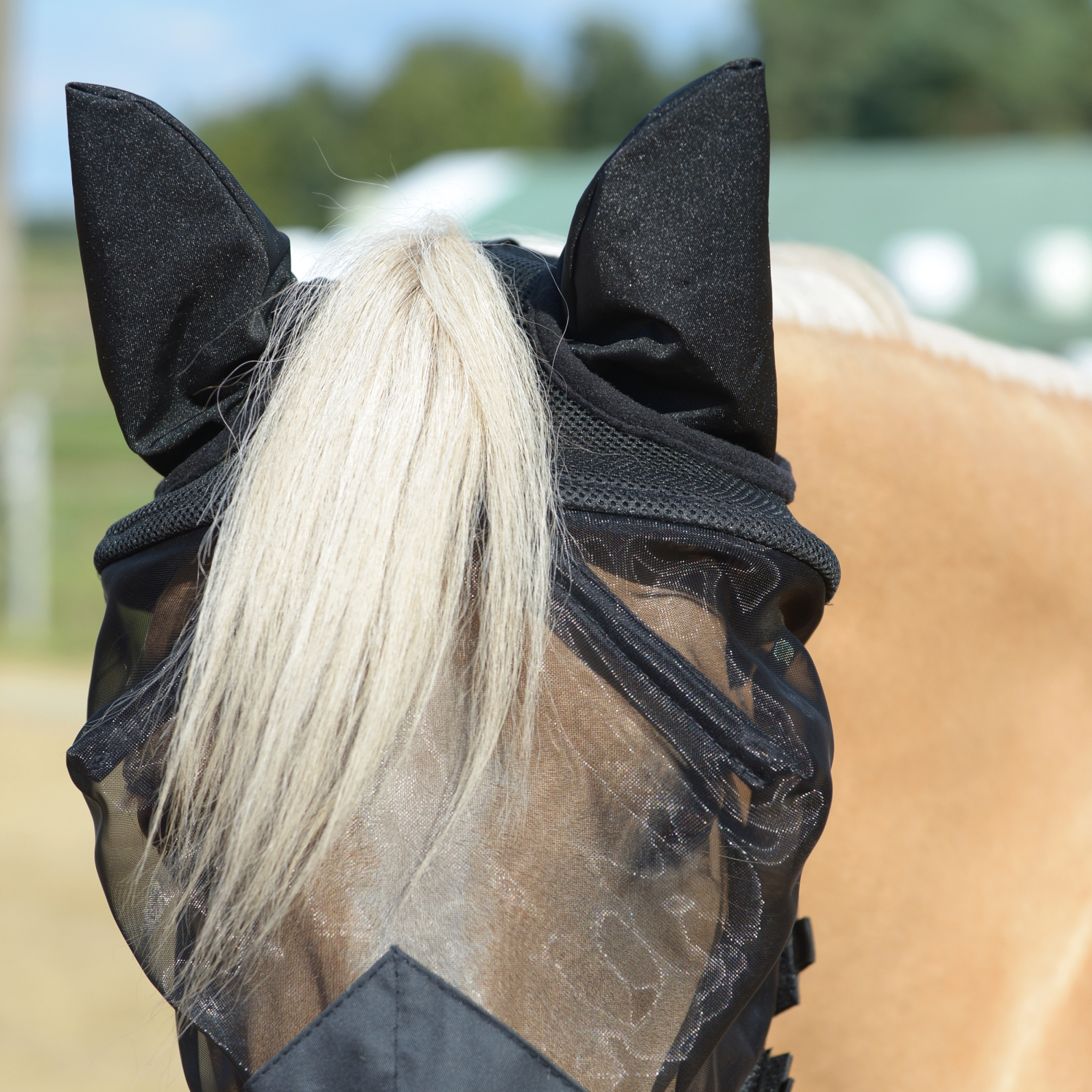 Fliegenmaske Fly Cover Fransen Gap II