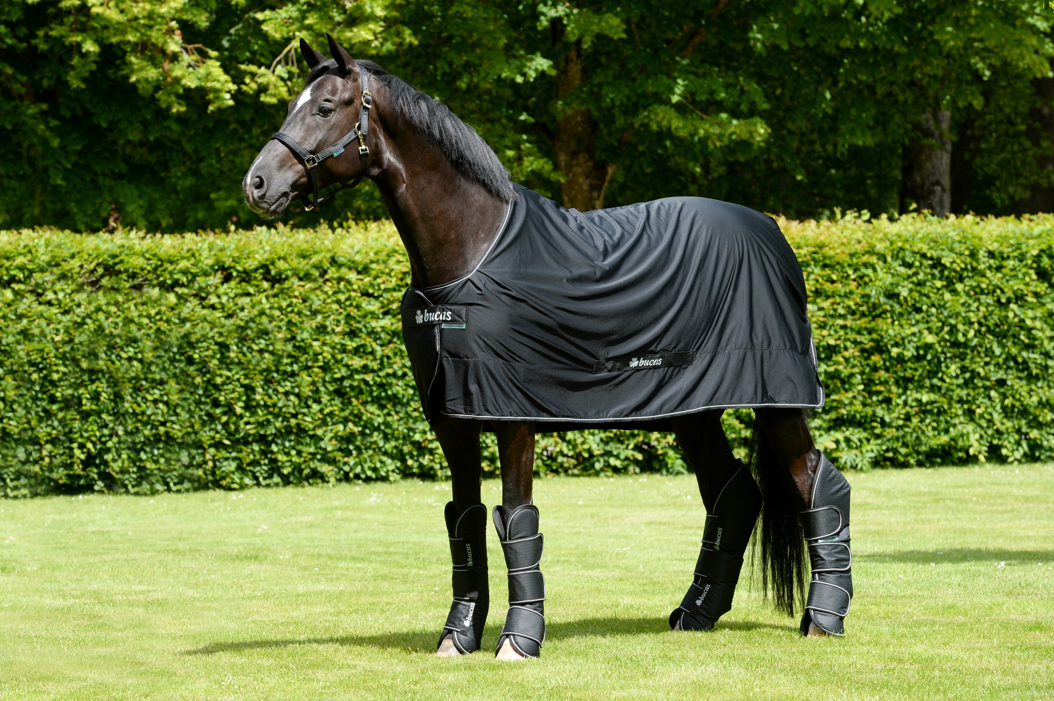 Transportgamaschen Freedom Boots in Black