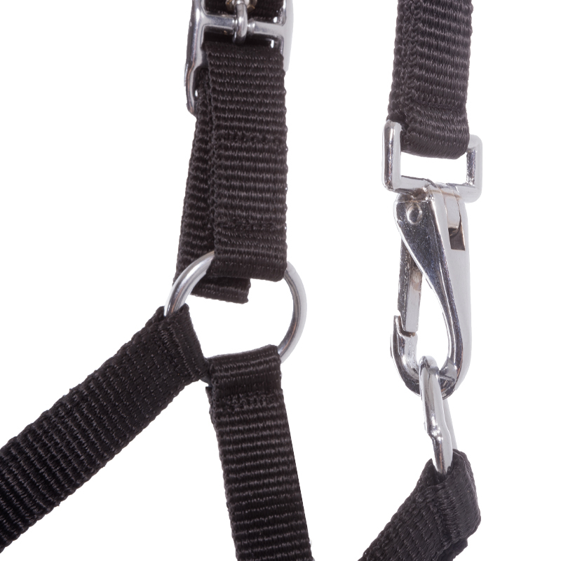 Fohlen- /Jährlingshalfter