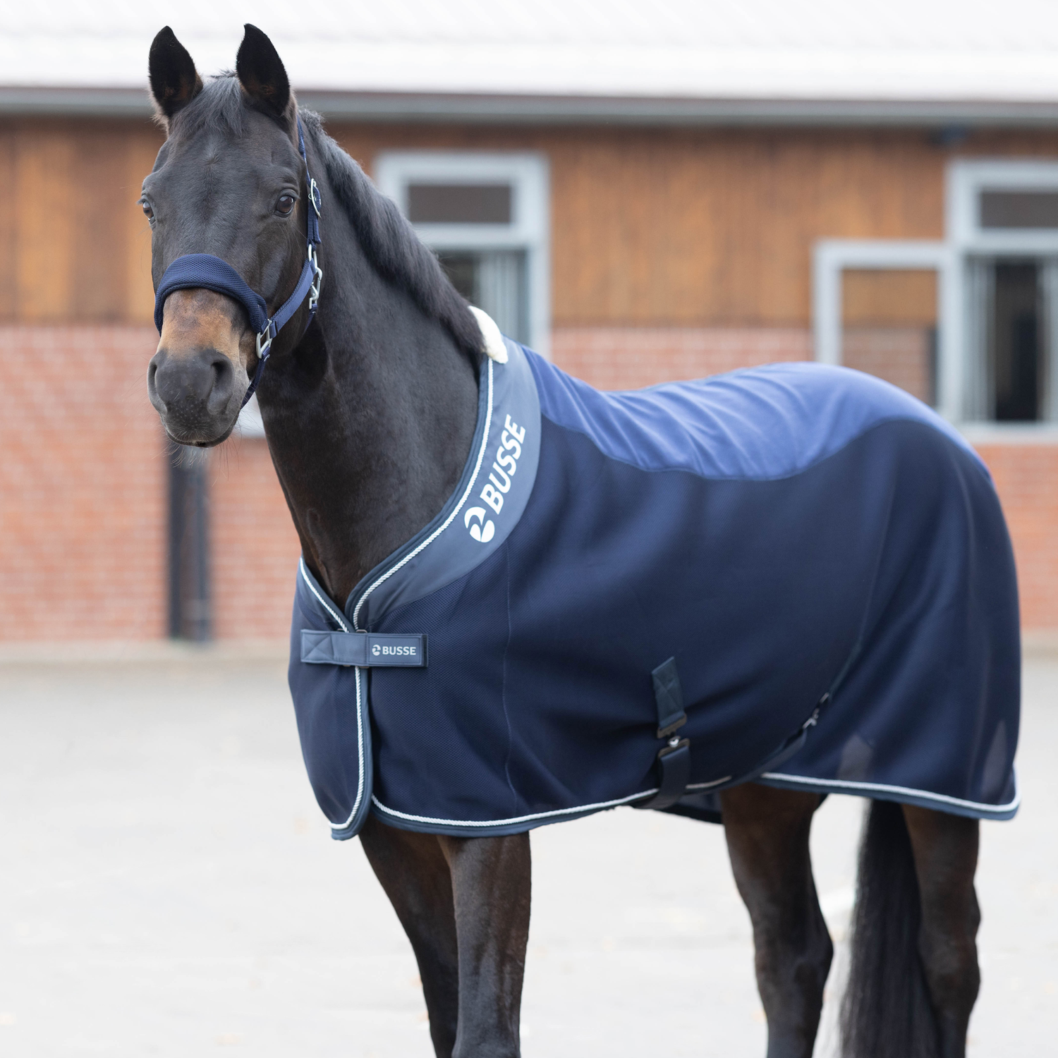 3D Air Fleece Premium sweat rug