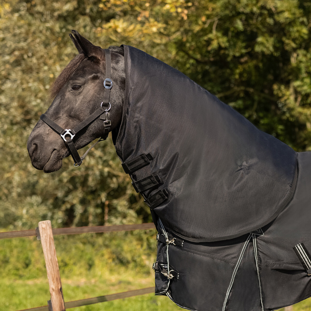 Halsteil Turnout Big Neck 150gr