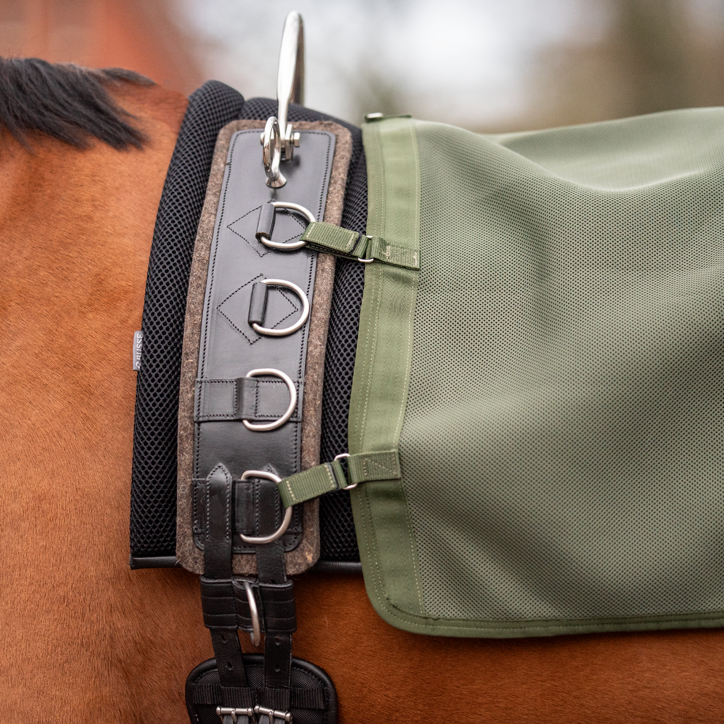 Lunging rug 3D AIR ST