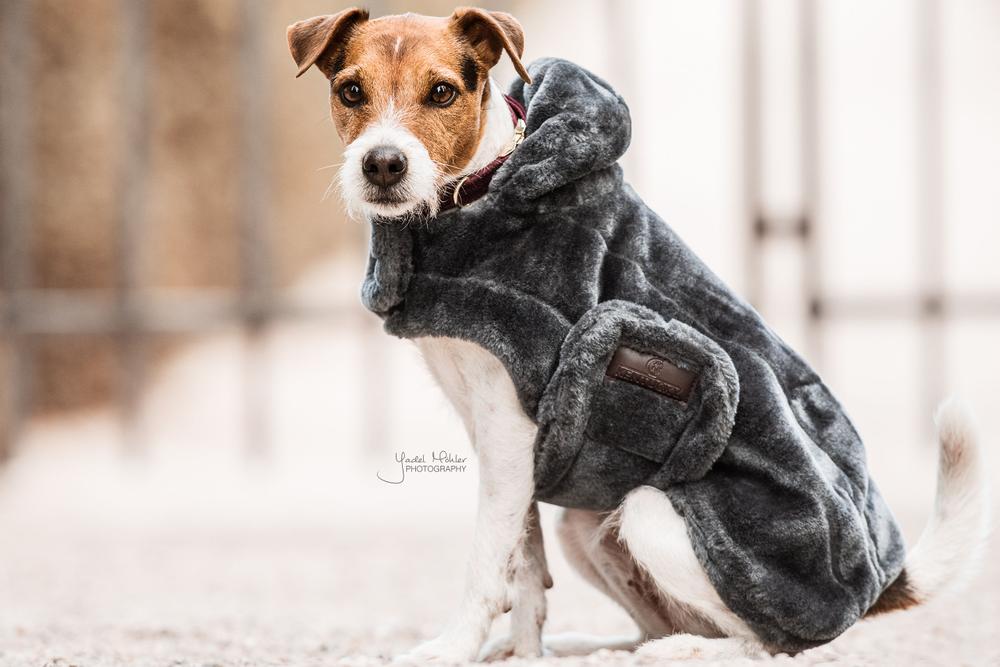 Hundemantel Fake Fur | Kentucky Dogwear
