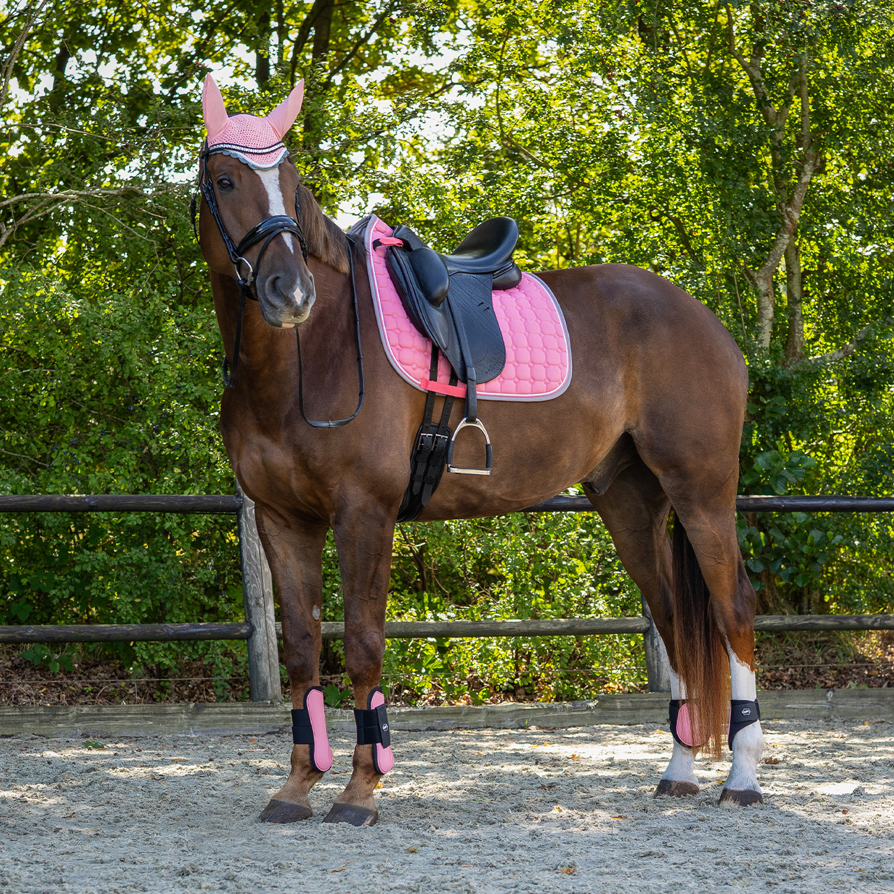 Gaiters