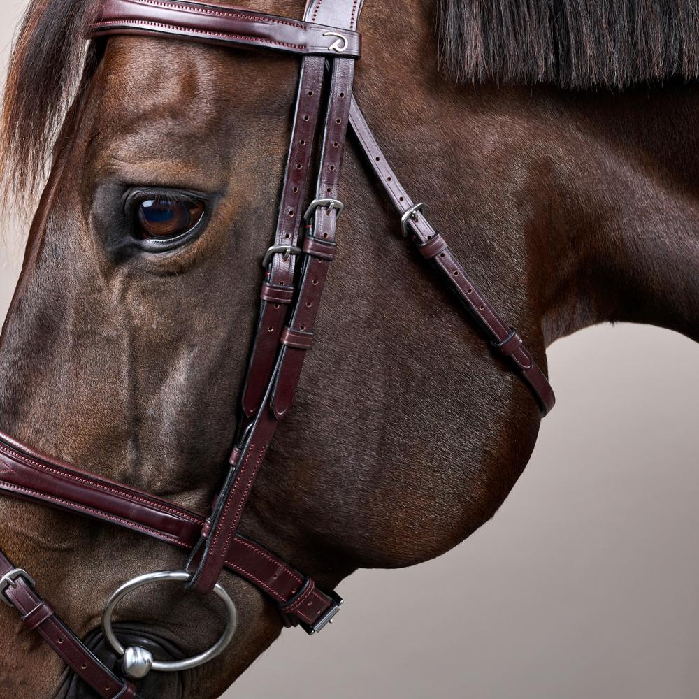 Anatomische Trense mit kombiniertem Reithalfter NE