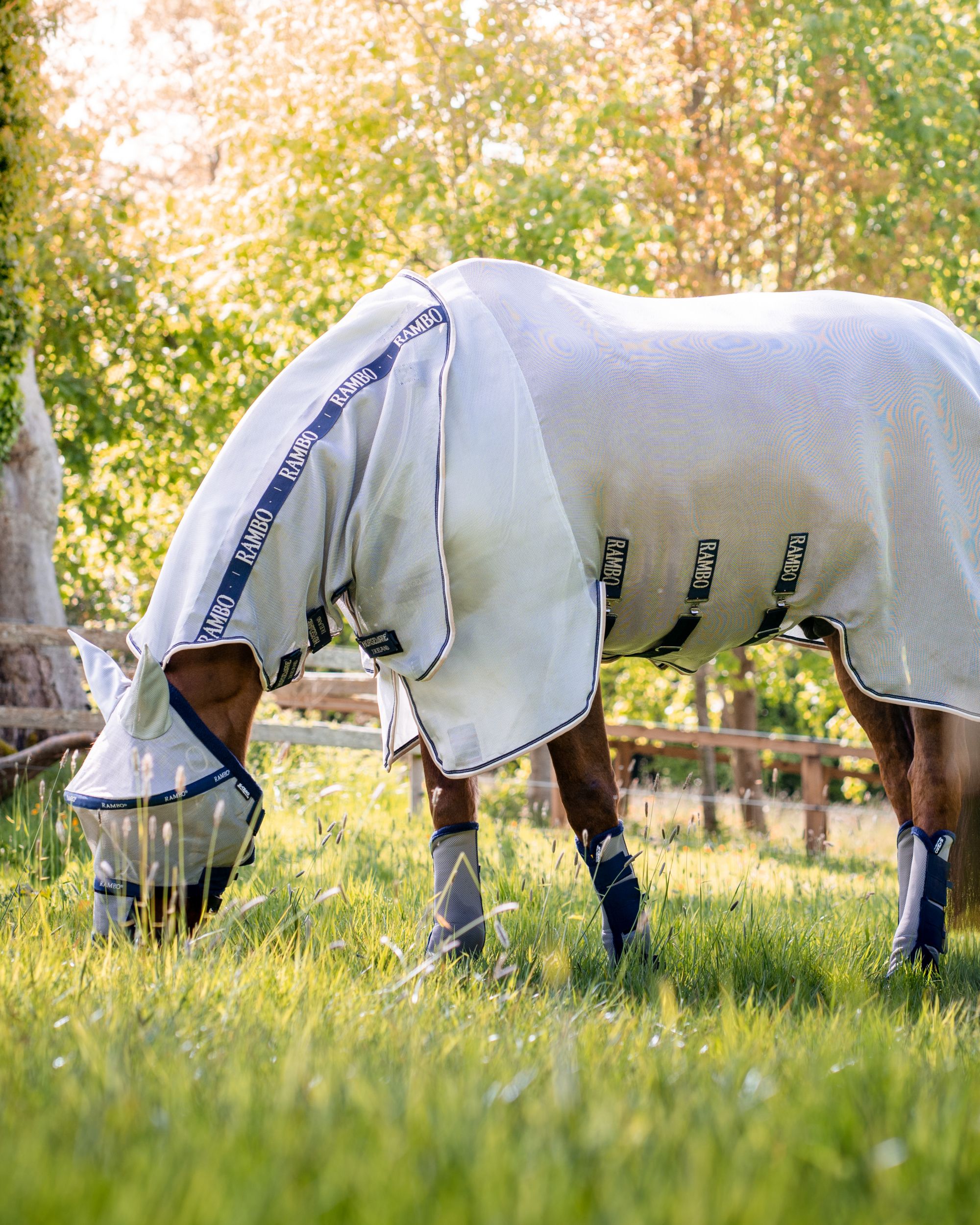 Rambo fly rug in silver/navy/white