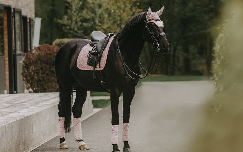 Rappe Rose Velvet Outfit