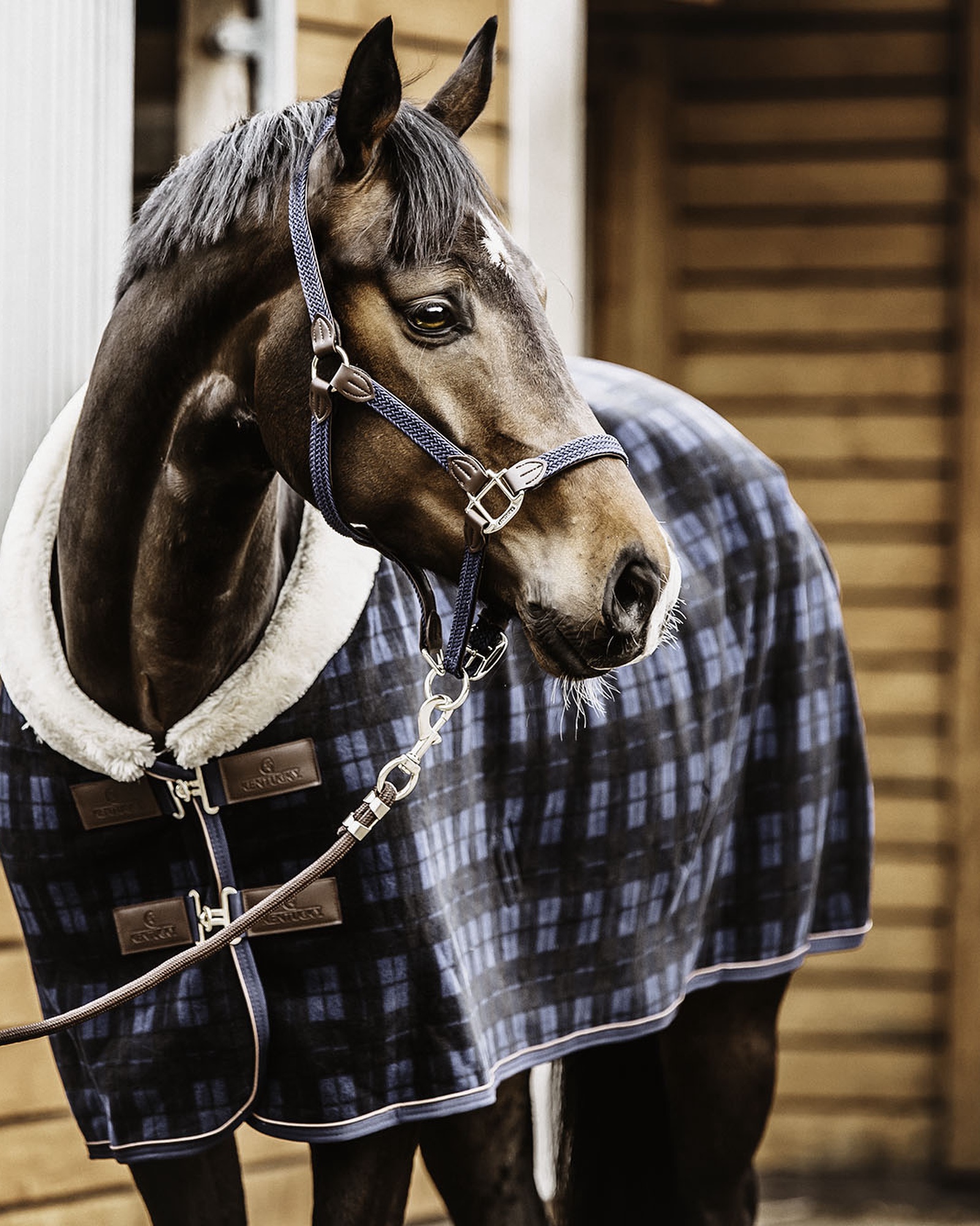 Fleece Show Heavy sweat rug