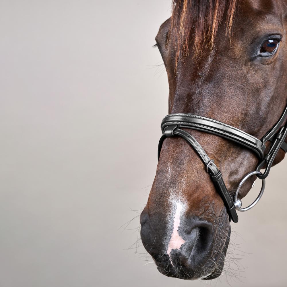 Difference Trense NE