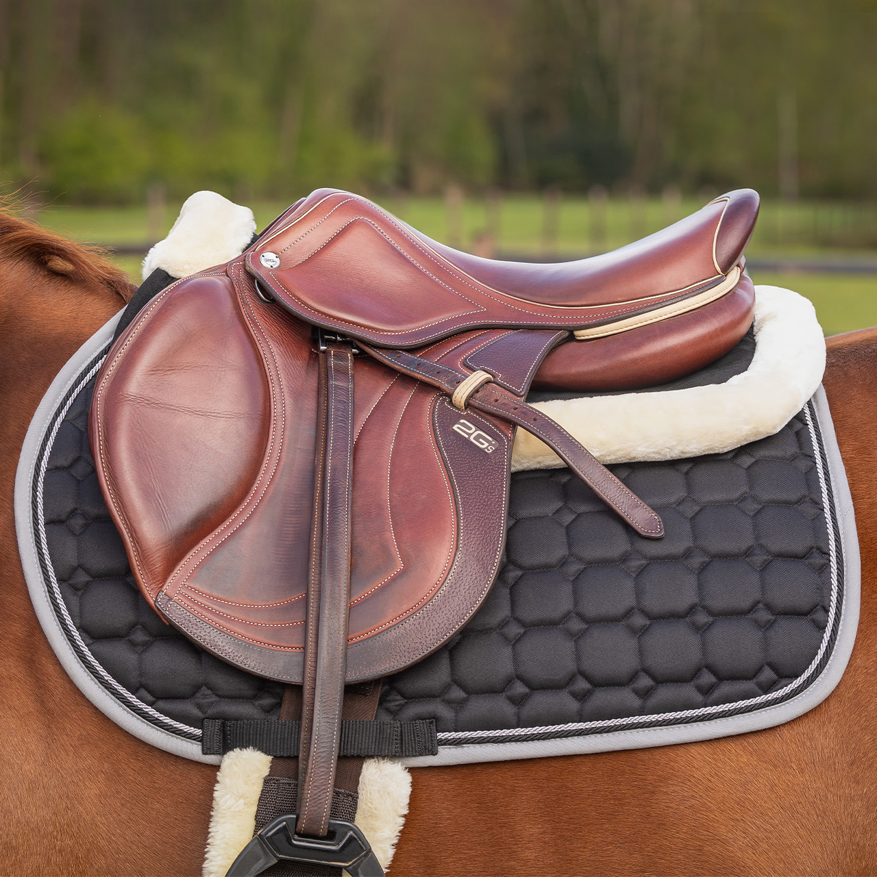 Saddle Pad Memory Foam Ontario