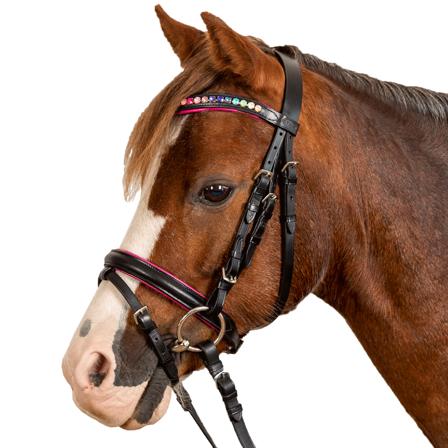 Snaffle bridle Pinky English comb.