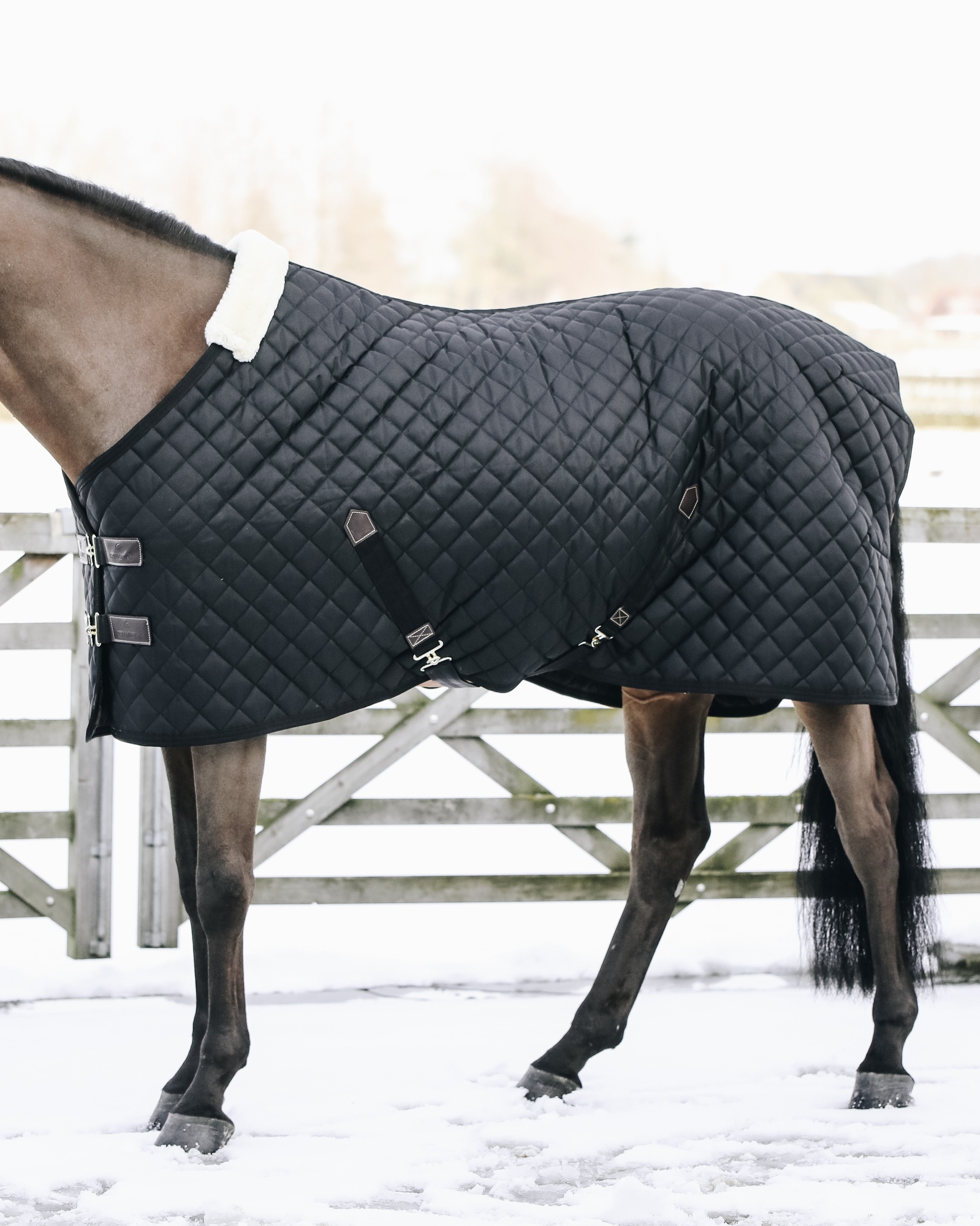 Stable rug 400g
