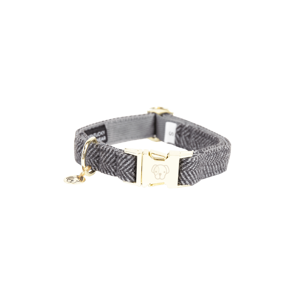 Hunde Halsband Wolle | Kentucky Dogwear