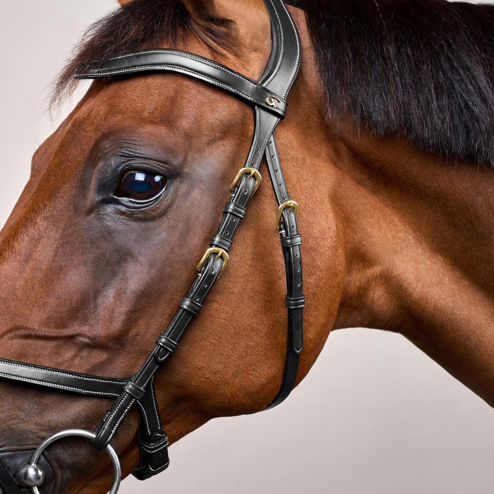 X-fit Trense DY | Dy'on