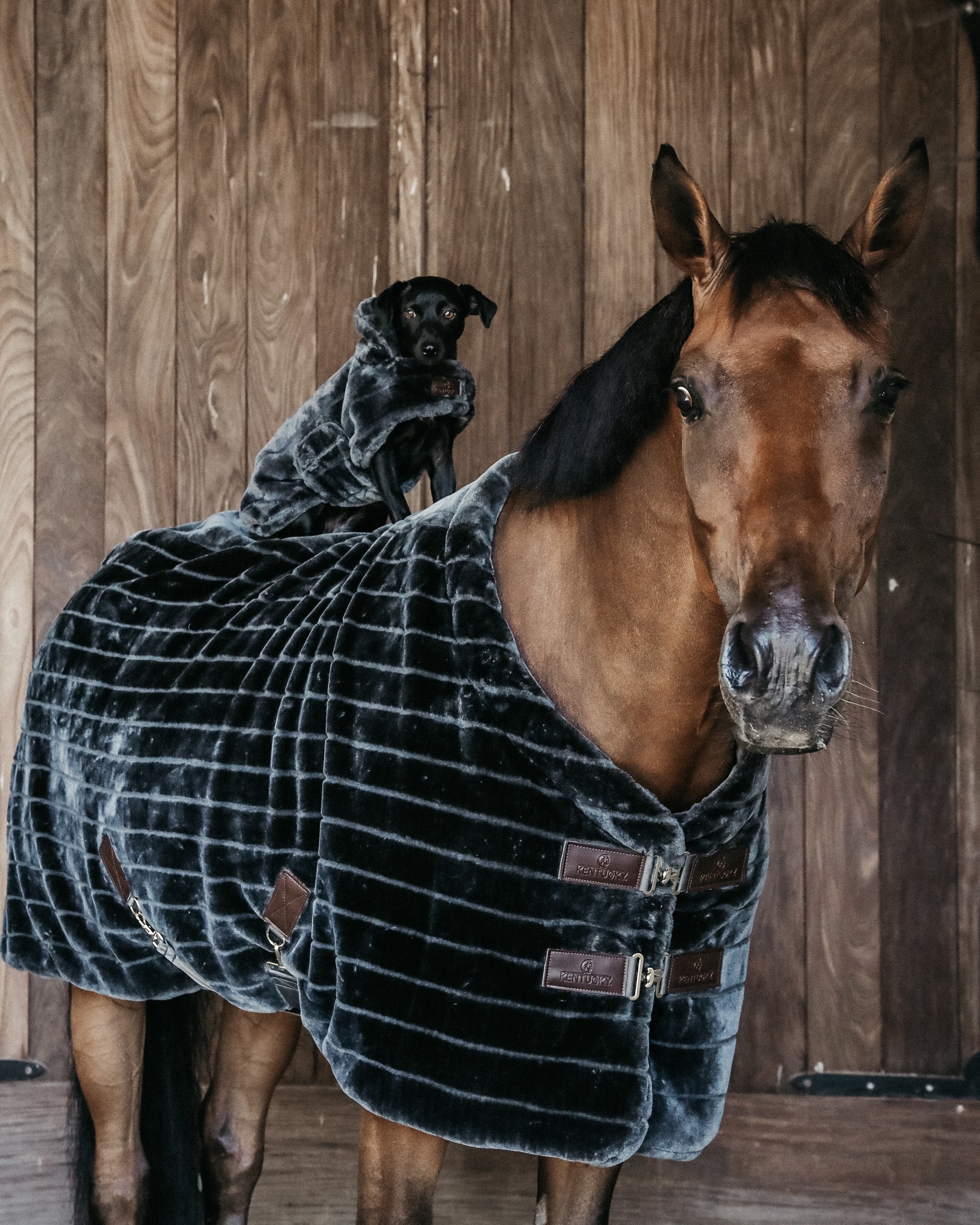 Stable rug fake fur