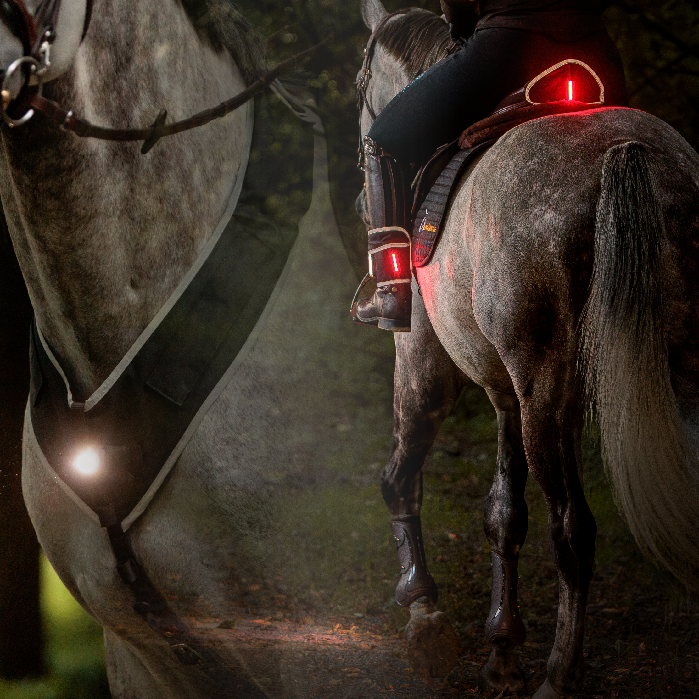 "Horselight" Set 2 -VZ+Sattelhusse-Beinmanschetten