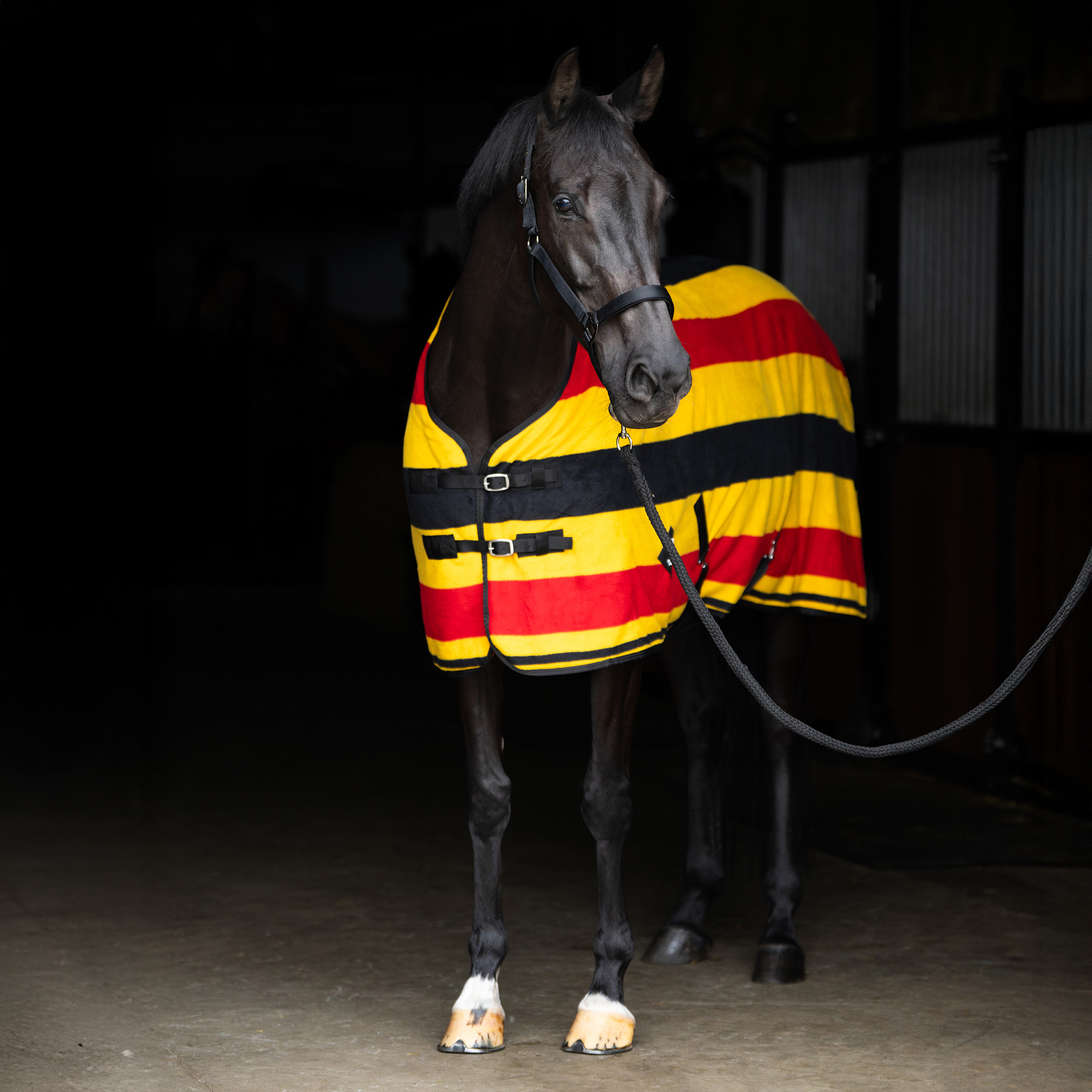 Fleecedecke Stripe