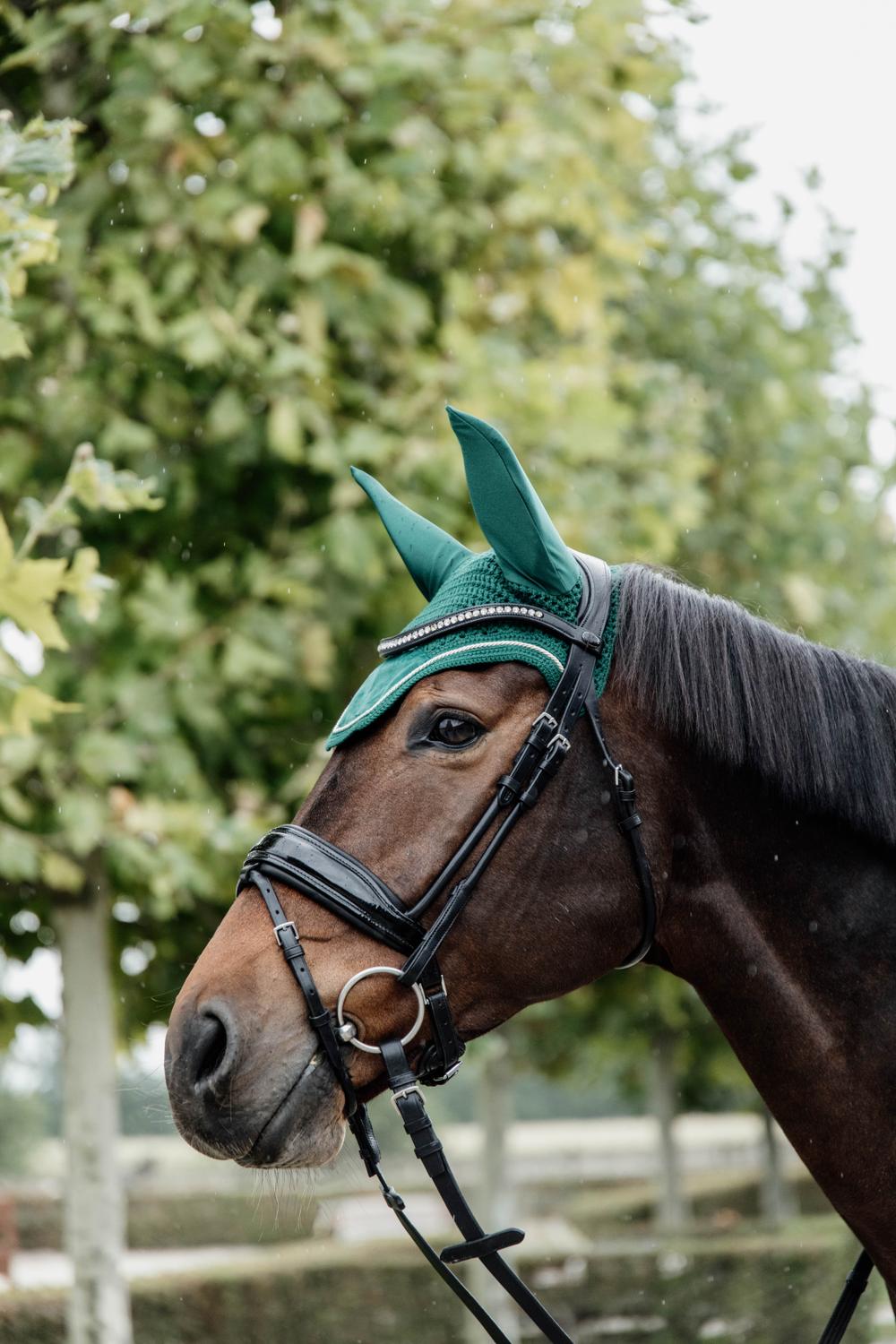 Fliegenhaube Wellington Velvet