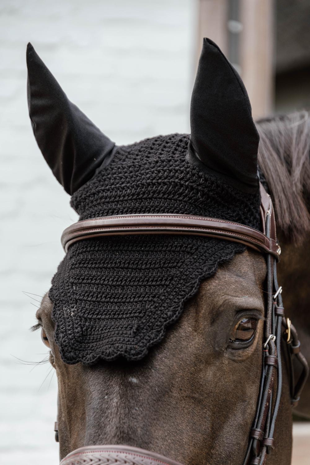 Fliegenhaube Wellington