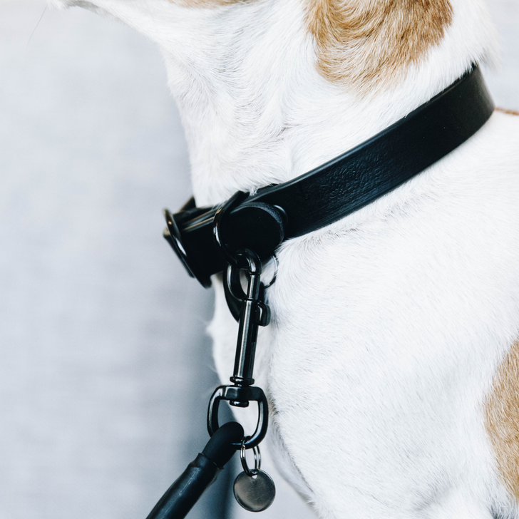 Hundehalsband Soft Rubber