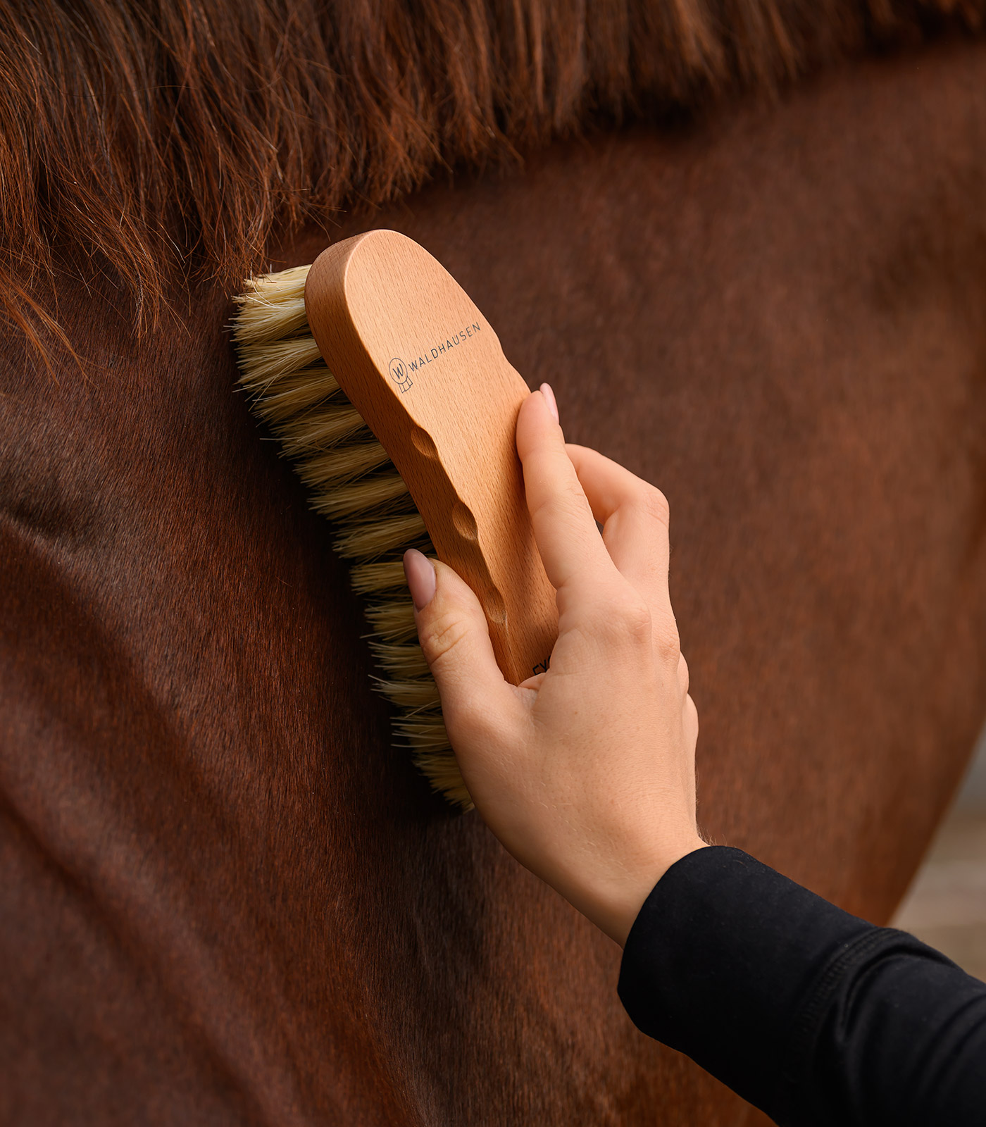 Exclusive Line Contour Brush