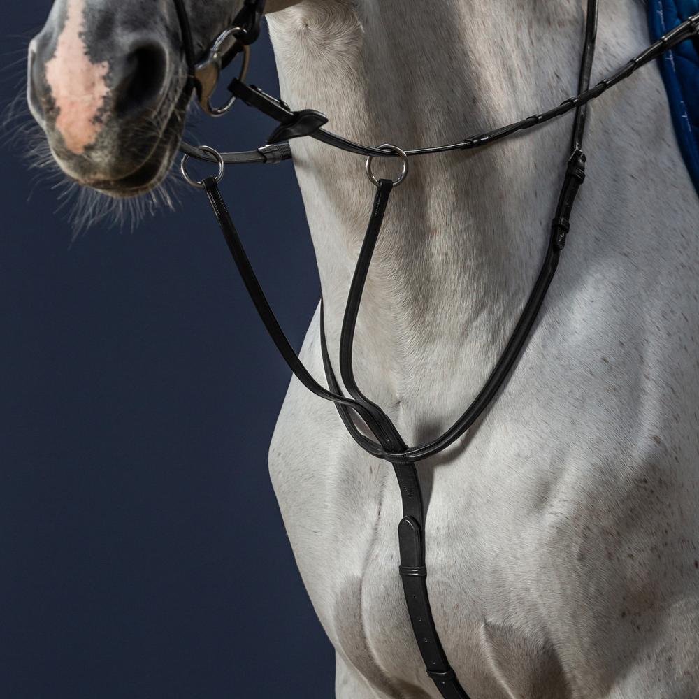 Martingale à anneaux coulissante