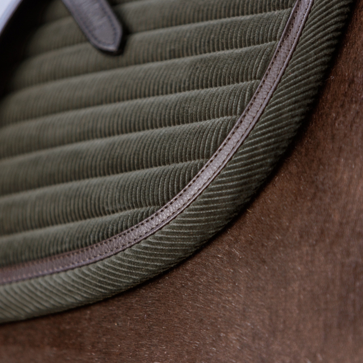 Schabracke "Cozy in Corduroy"