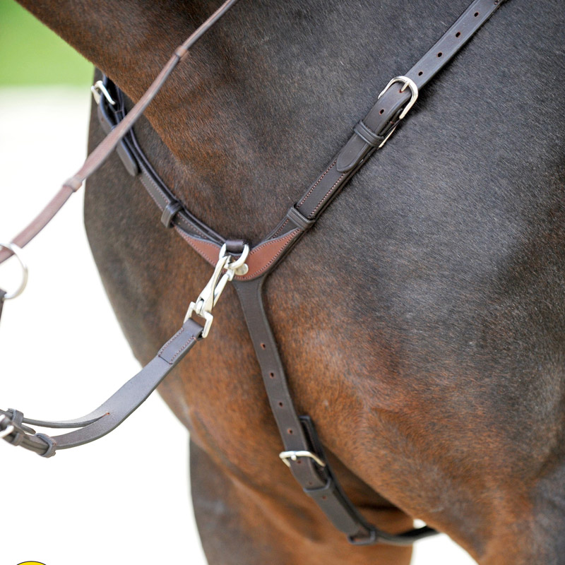 Oiled leather breastplate "EveryDay" 