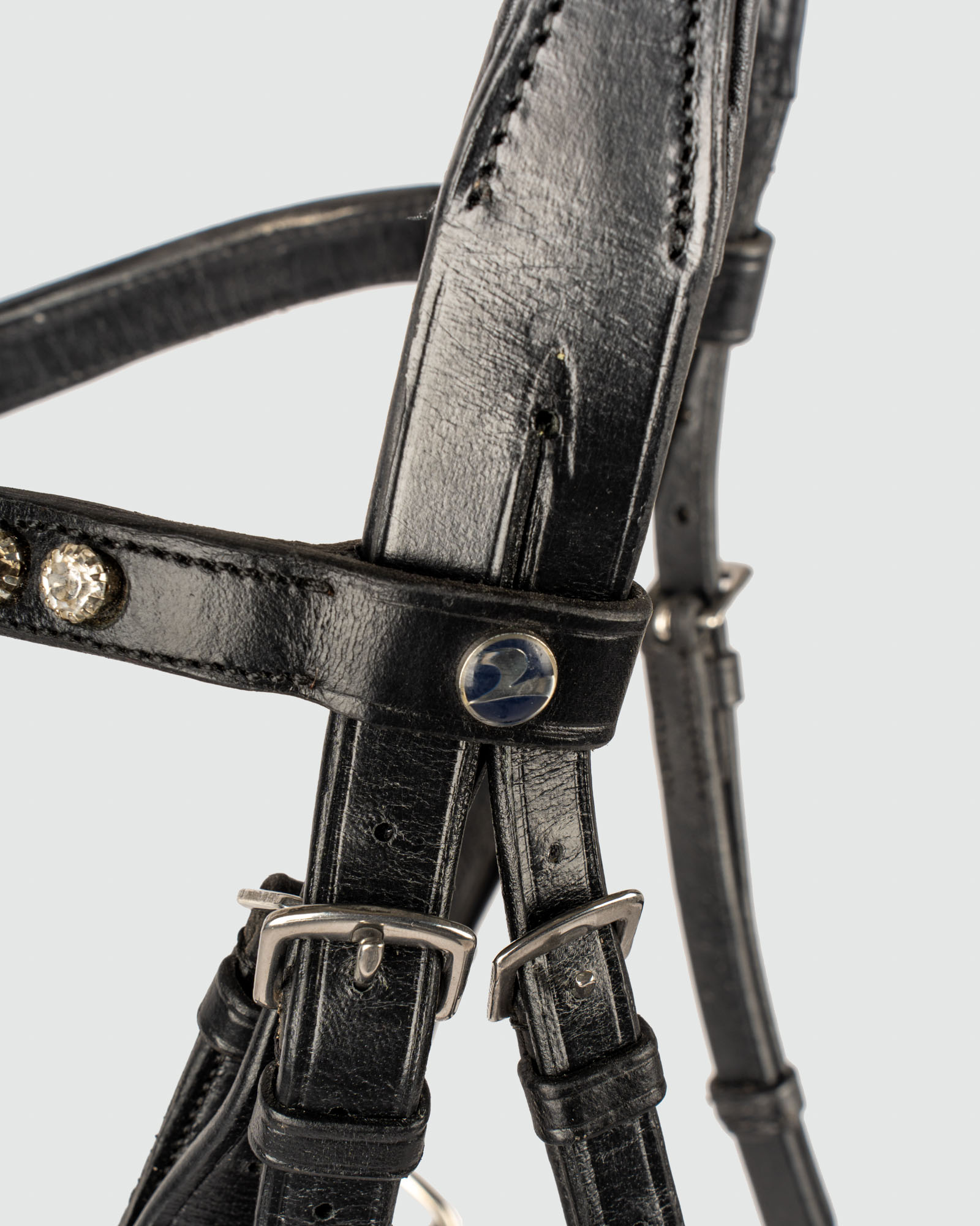 Snaffle Feeling
