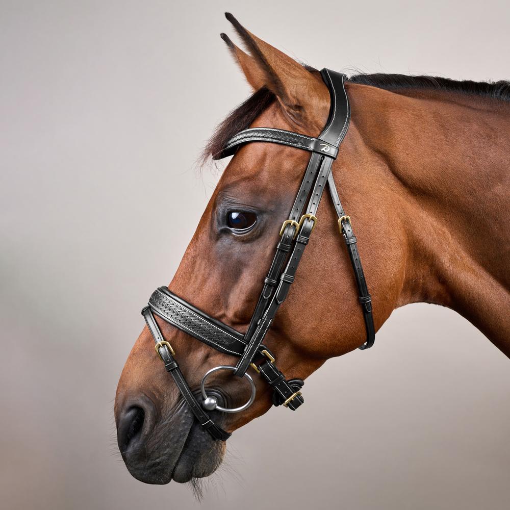 Geflochtene Trense mit schwedischen Reithalfter DY | Dy'on