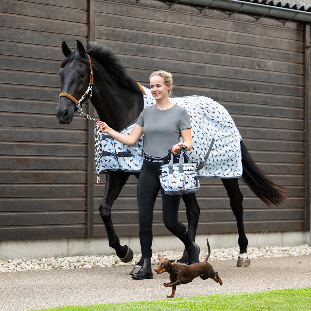 Fliegendecke Stable buddy