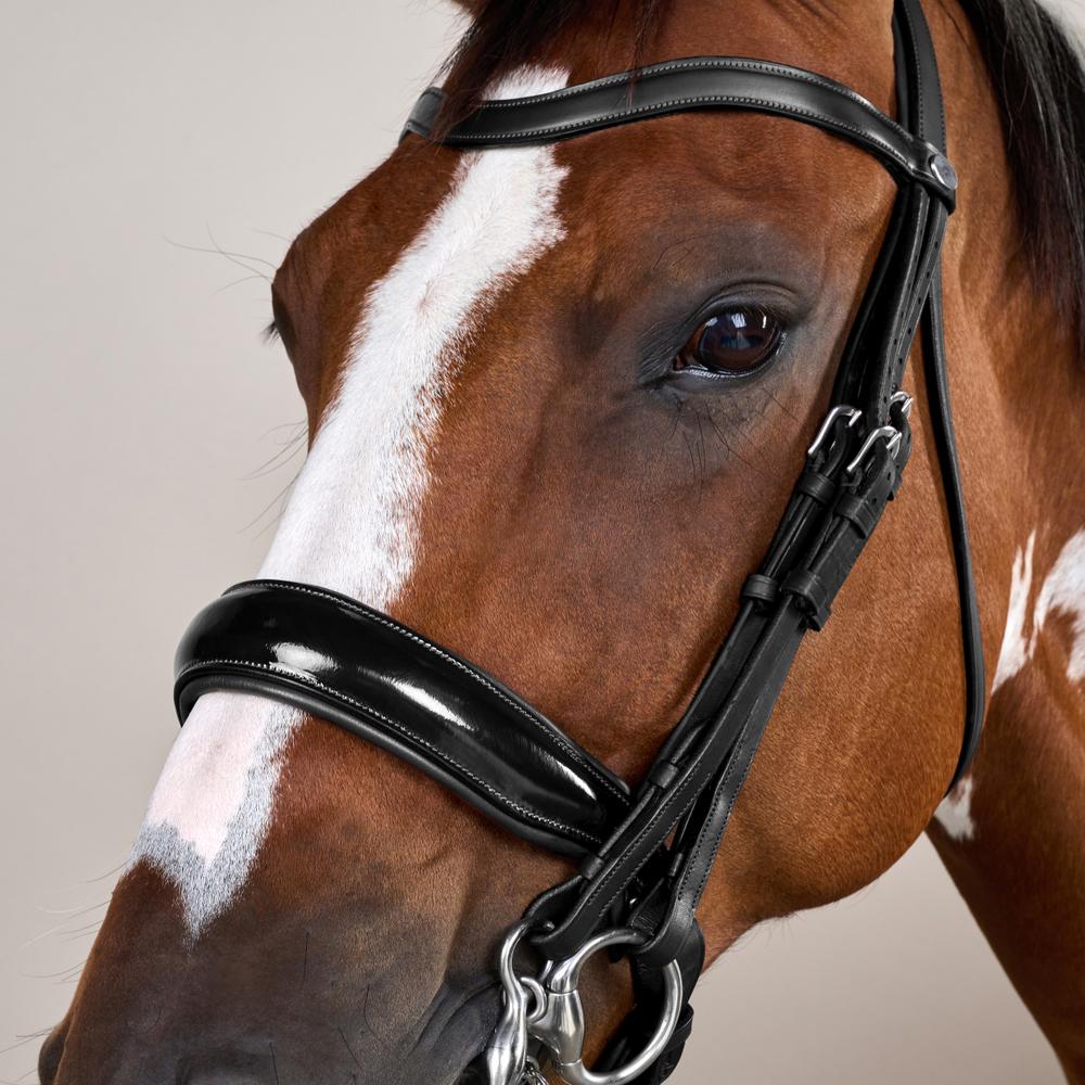 Kandare Working schwedisch Lack in schwarz