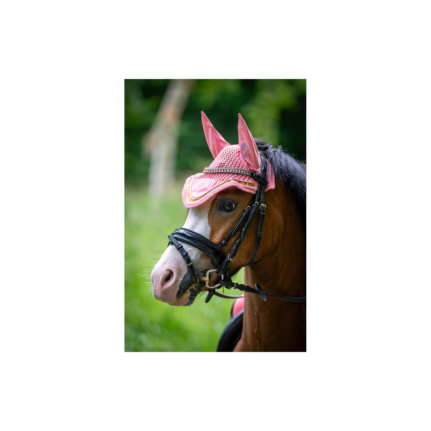 Mini Horse Ohrenhaube