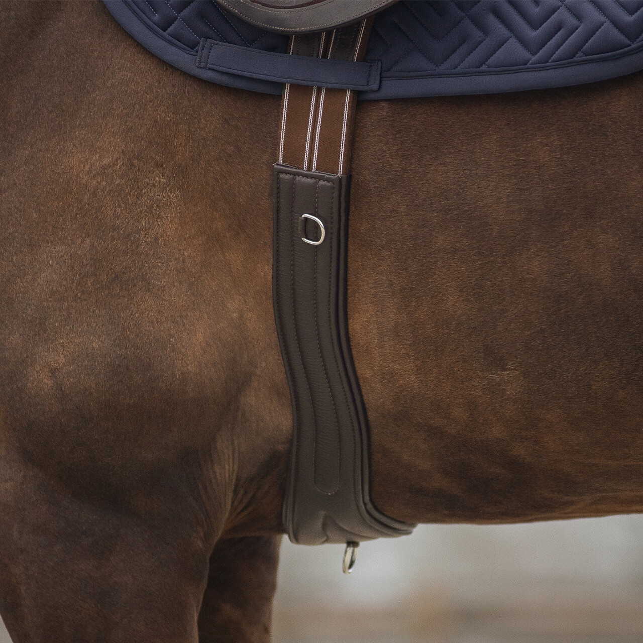 Vielseitigkeitsgurt Sensisoft